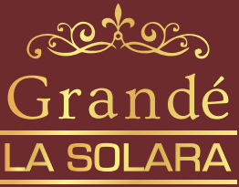 Grande La Solara | Premium Luxury 2/3 BHK Flats in Noida Extension